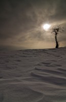 Le biscornu et la soufflée