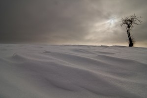 Le biscornu et la soufflée