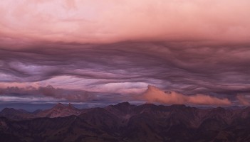Undulatus aspertus en Gruyère