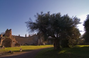 Olivier à la Villa Adriana